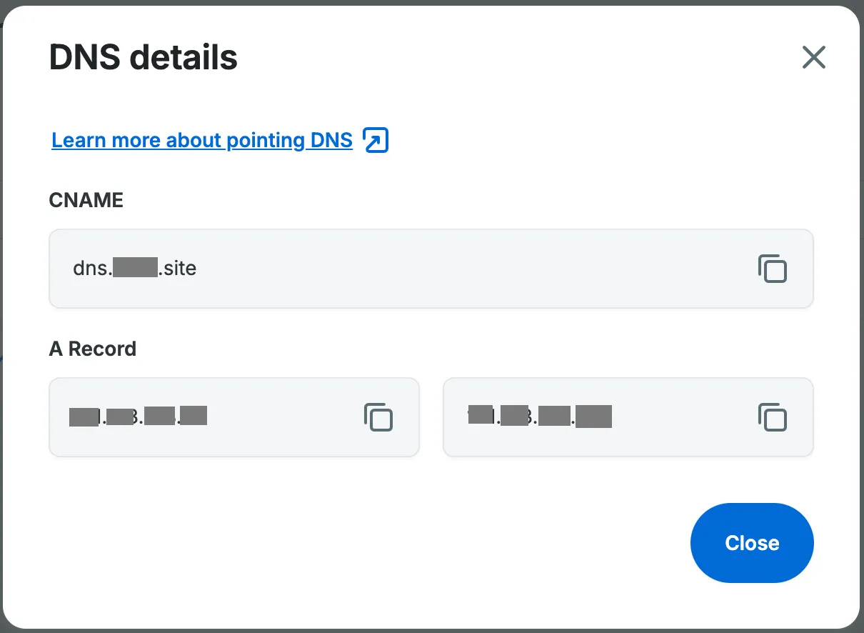 Screenshot of the view DNS modal